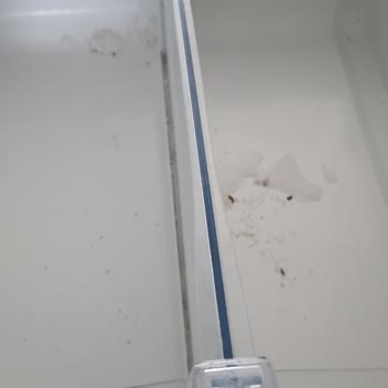 Bosch Buzdolabında Sürekli Gıda Bozulması Ve Kötü Koku Çözüm Bekleniyor