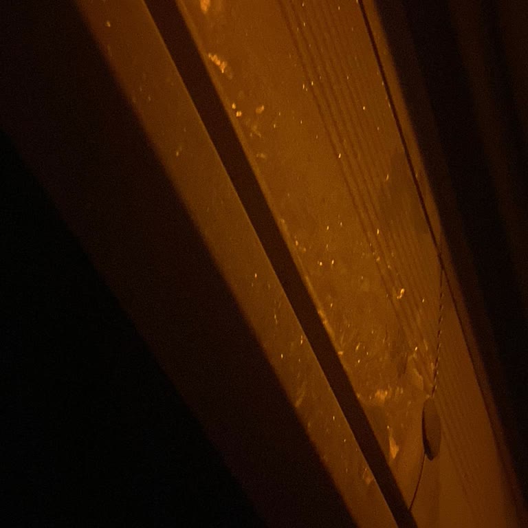 Can Erzurum Seyahat Şikayeti