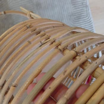 Temu Ayıplı Hasır Saksı İçin Koşulsuz Ve Hızlı Ücret İadesi Talebi