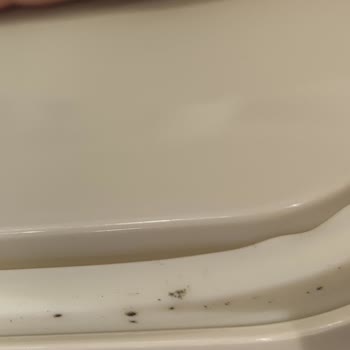 Korkmaz Sefer Tası Deforme Olması