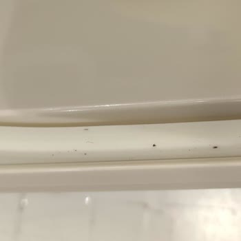 Korkmaz Sefer Tası Deforme Olması