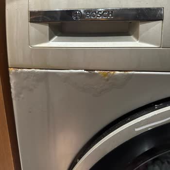 Bosch Çamaşır Makinesindeki Boya Ve Paslanma Sorunu, Garanti Dışı Servis Ücretine Karşı İtiraz