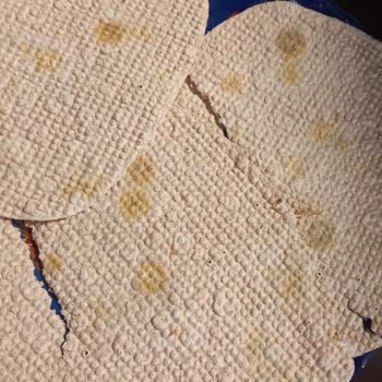 Fit Yulaf Ekmeğinde Küf Sorunu Ve Geri Ödeme Talebi