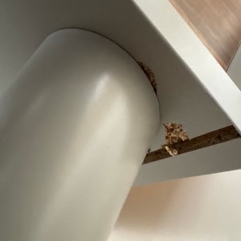 Montajda Ürün Kırıldı, Koltuk Süngeri Kullanılamaz Ve Şirket Cevap Vermiyor