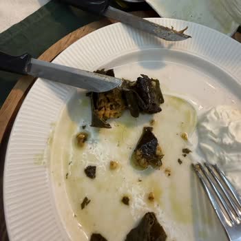 Burcu Gıda Yaprak Sarma İçinde Saç Kılı: Hijyen Ve Sağlık Şikayeti