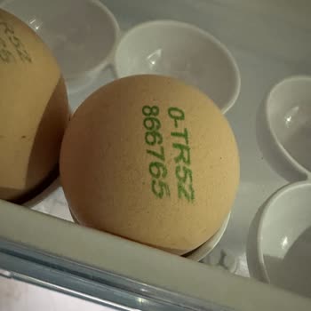 Mopaş Çengelköy Şubesinden Organik Yumurta Bozulmuş, Üretici Geri Dönüş Sağlamıyor, İade Talebi