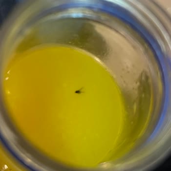 İçinde Sinek Olan Portakal Suyu, Eksik İade Ve İlgisizlik