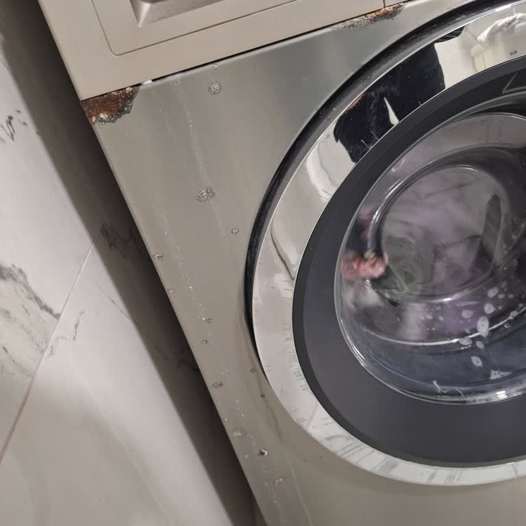 Bosch Çamaşır Makinesinde Su Sızıntısı Ve Paslanma Nedeniyle Ücretsiz Değişim Talebi