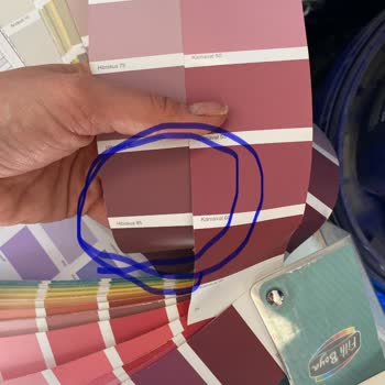 Filli Boya Karteladaki Renk İle Duvar Boyası Arasındaki Uyum Sorunu