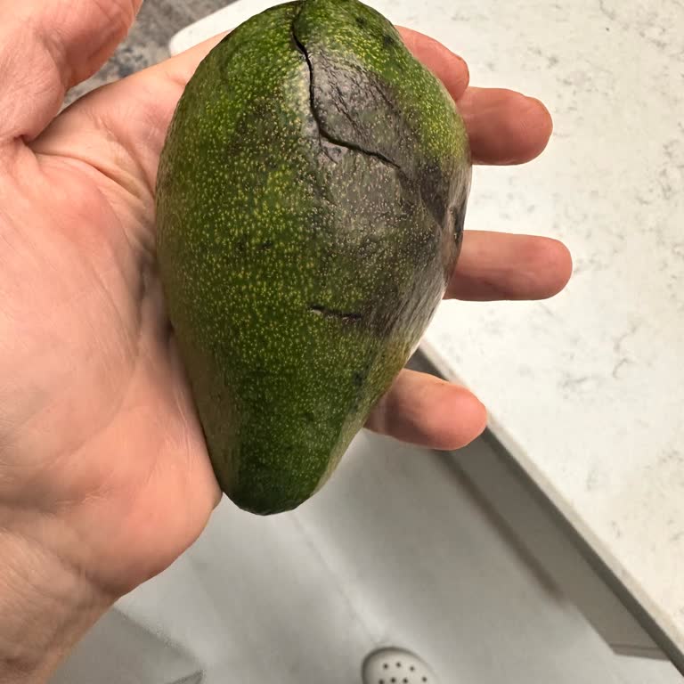 Manisa Turgutlu A101'de Bozuk Avokado, İade Talebine Cevap Yok