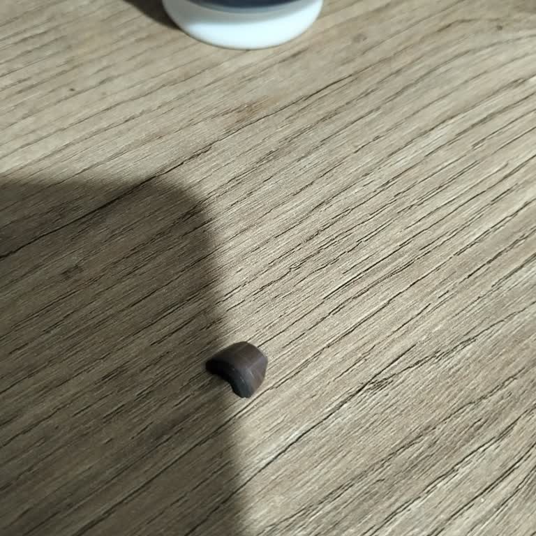 Vaillant Servisinin Hatalı Müdahalesi Sonrası Pompam Kırıldı, 1500 TL Ücret İadesi Talebi