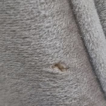 Bellona Valesco Berjer Kumaş Yırtığı İçin Servis Raporu Olmasına Rağmen Bayinin Onarım Reddi