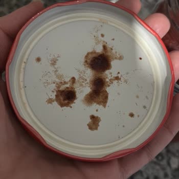 Tamek Domates Salçasında Ölü Sinek Görülmesi Hijyen Ve Güven Endişesi