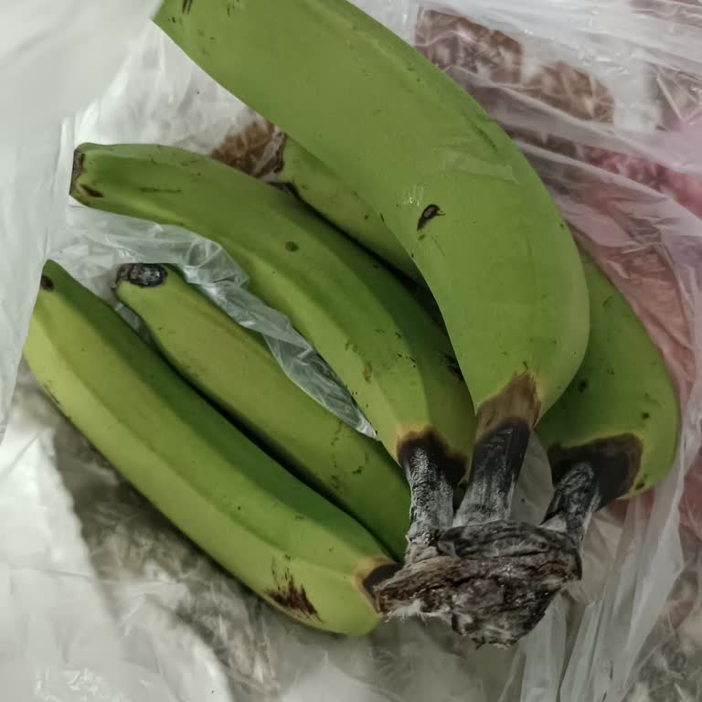 Sert Ve Olgunlaşmamış Muzlar Tüketilemedi, Mağduriyetimin Giderilmesini İstiyorum