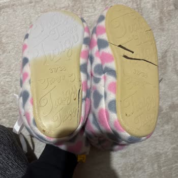 Kullanılmamış Ev Botunun Alt Tabanı Kırıldı Ve Sarardı