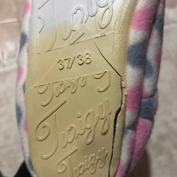 Kullanılmamış Ev Botunun Alt Tabanı Kırıldı Ve Sarardı