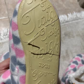 Kullanılmamış Ev Botunun Alt Tabanı Kırıldı Ve Sarardı