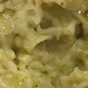 Trendyol Yemek'te Hijyen İhlali: Saç İçeren Makarna İade Talebi Reddedildi