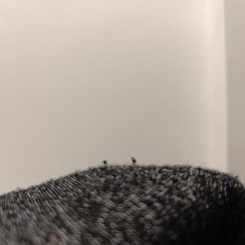 Penti Termal Pijaması Aşırı Tüy Döktü Ve Müşteri Hizmetleri Yanıt Vermedi