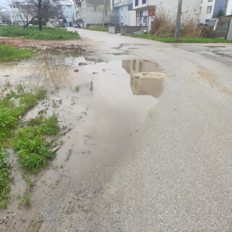 Sokakta Asfalt Bozulması ve Yenileme Talebi