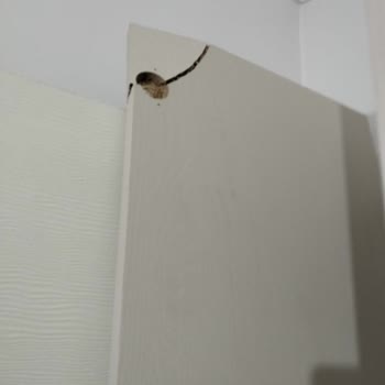 Sun Ev Concept Teslim Edilen Ürünlerin Bir Kısmı Kırık, Bir Kısmı Eksik Ve Yanlış Gönderildi