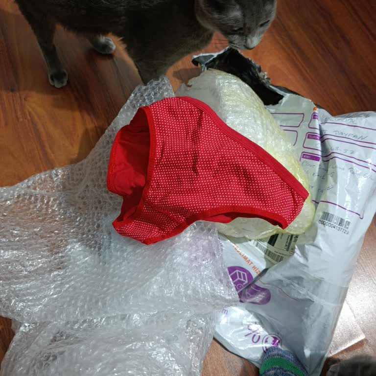 @velora.icgiyim Altı Takım İç Giyim Yerine Tek Kalitesiz Külot Gönderilmesi Ve Hayal Kırıklığı