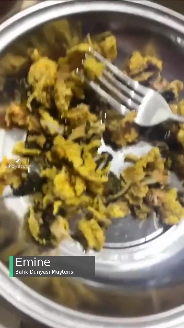 Balık Dünyası Midye Tavadan Çıkan Pislik! videonun kapak resmi