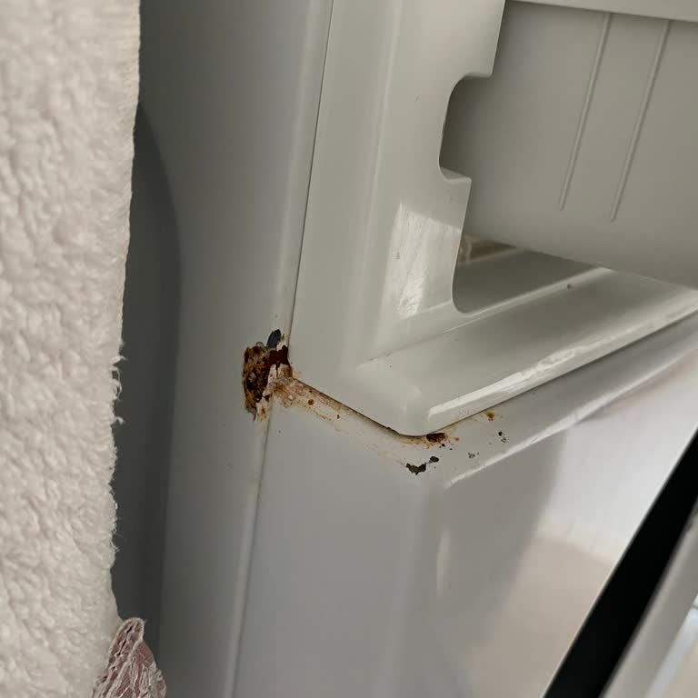 Garanti Öncesi Paslanma Sorunu: Samsung Çamaşır Makinesinde Ücretsiz Onarım Talebi!