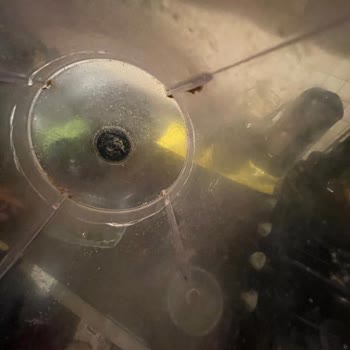 Sinbo Shb 3106 Model İç Haznedeki Kırılan Parçanın Yedek Parça Temini İçin Hızlı Çözüm Talebi