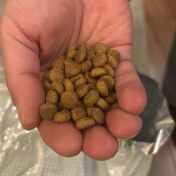 Petmerkezi'nden Gelen Sahte Royal Canin Mama İçin Ücret İadesi Talebi