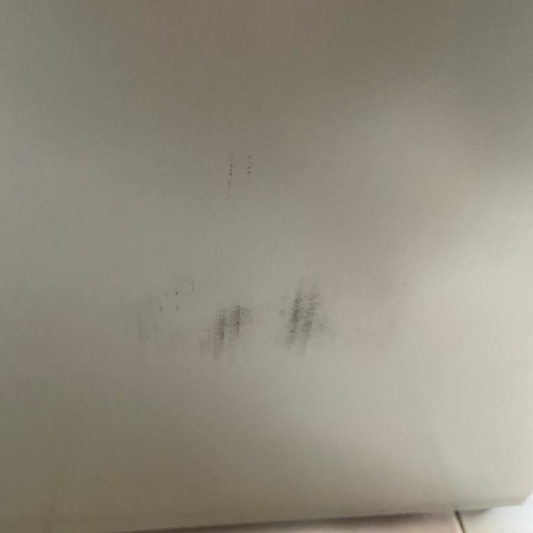 New Siemens Fridge Develops Stains, Company Demands $460 for Replacement