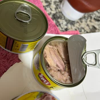 Migros Balık Konservesinde Böceklenme Tespiti Ve İade Talebi