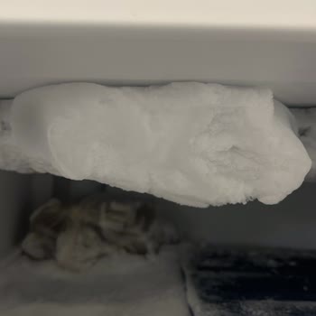 Profilo Sık Karlama Yapan Derin Dondurucu İçin Yanıltıcı Açıklama Ve Değişim Talebi!