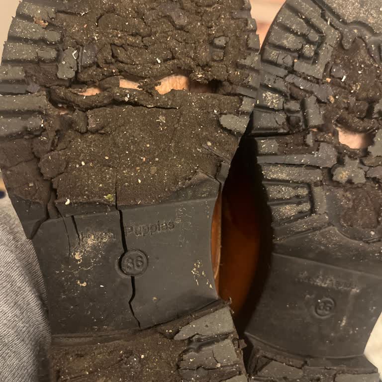 Lumberjack Az Kullanılan Botun Tabanı Parçalandı: Kalite Ve Güvenlik Endişesi!