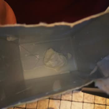 Kesik Ve Bozulmuş Mis Süt Ürünü