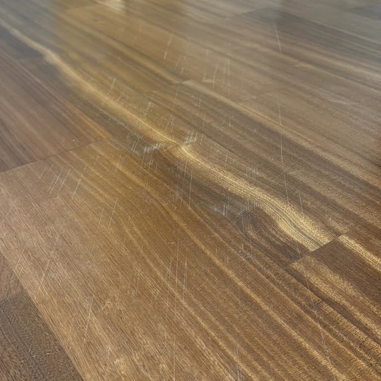 İzmir Pro Temizlik İyi Bir Temizlik Yapılmamış Ve Evime Maddi Zarar Verilmiş!