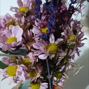 Solmuş Çiçek Teslimatı İçin Ücret İadesi Talebi