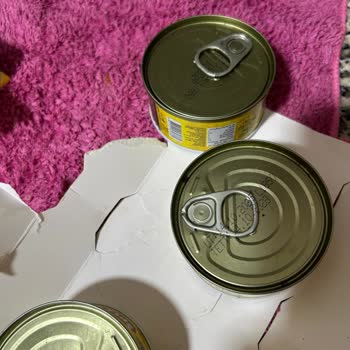 Kurtlanmış Ton Balığı Ürünleri Güvenimizi Sarsıyor Ve Sağlık Endişesi