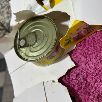 Kurtlanmış Ton Balığı Ürünleri Güvenimizi Sarsıyor Ve Sağlık Endişesi