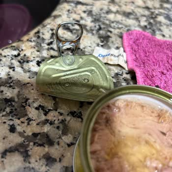 Kurtlanmış Ton Balığı Ürünleri Güvenimizi Sarsıyor Ve Sağlık Endişesi