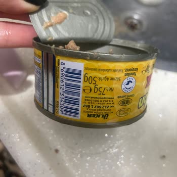 Ülker Ton Konservesinde Kılçık Tespit Edildi Güvenlik Endişesi Oluşturdu