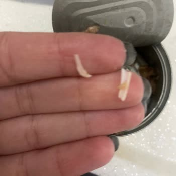 Ülker Ton Konservesinde Kılçık Tespit Edildi Güvenlik Endişesi Oluşturdu