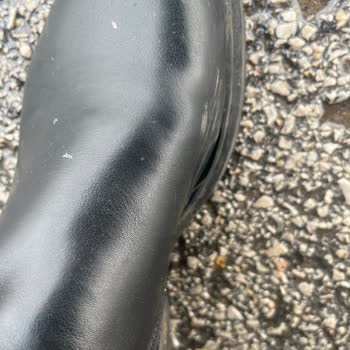 Ayıplı İnci Botunda Kısa Sürede Açılan Bölüm Ve Değişim Talebi