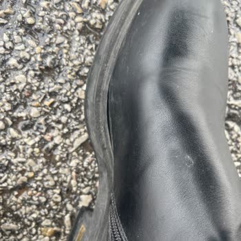 Ayıplı İnci Botunda Kısa Sürede Açılan Bölüm Ve Değişim Talebi