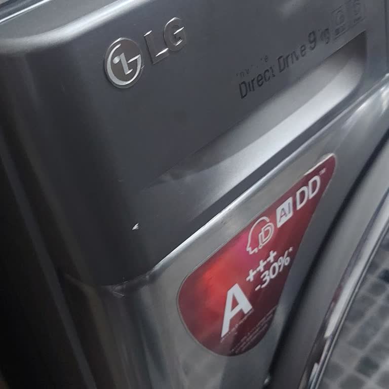 LG Yetkili Servisi Çamaşır Makinesini 25 Gün Bekleterek Mağdur Ediyor