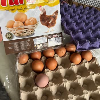 Türe Yumurta Paketi İçinde Sigara Külü Ve Bozulmuş Ürün