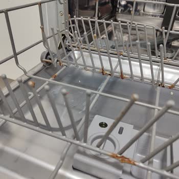 Franke Bulaşık Makinesi Sepetlerdeki Aşırı Paslanma Ve Ücretsiz Değişim Talebi