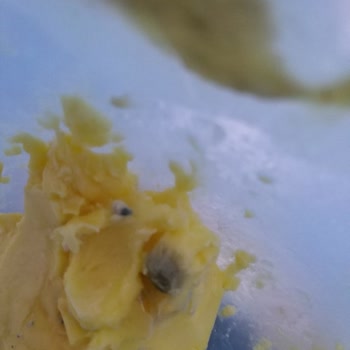 Bosch Buzdolabındaki Sürekli Buzluk Kokusu Ve Gıda Bozulması İçin Ürün Değişimi Talebi!