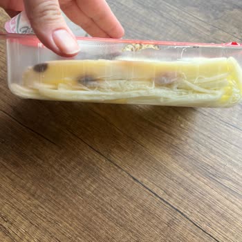 Kapalı Ambalajlı Bahçıvan Çeçil Peyniri Küflenmiş Çıktı, Değişim Talebi