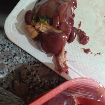 A101 Van Şubesinde Bozulmuş Tavuk Ciğeri Gıda Güvenliği Sorunu